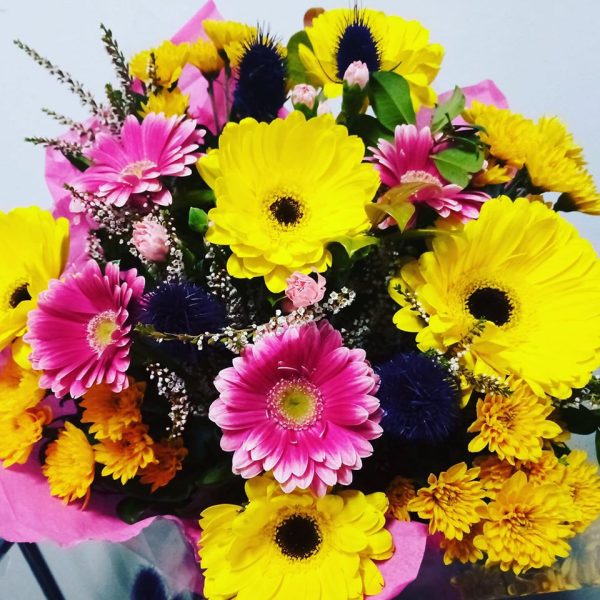 Bright and Beautiful