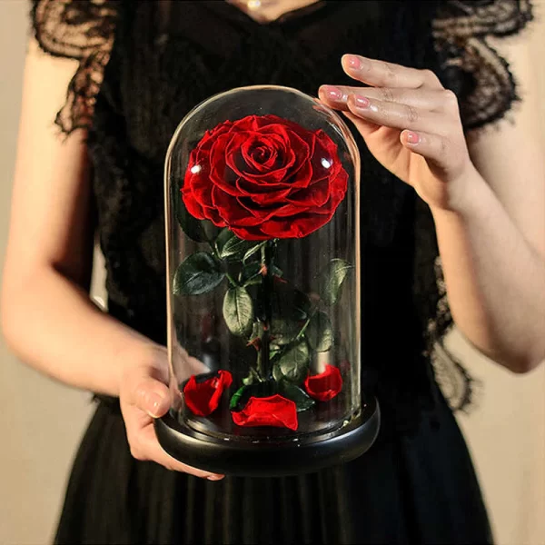Everlasting Fresh Sleeping Beauty Rose